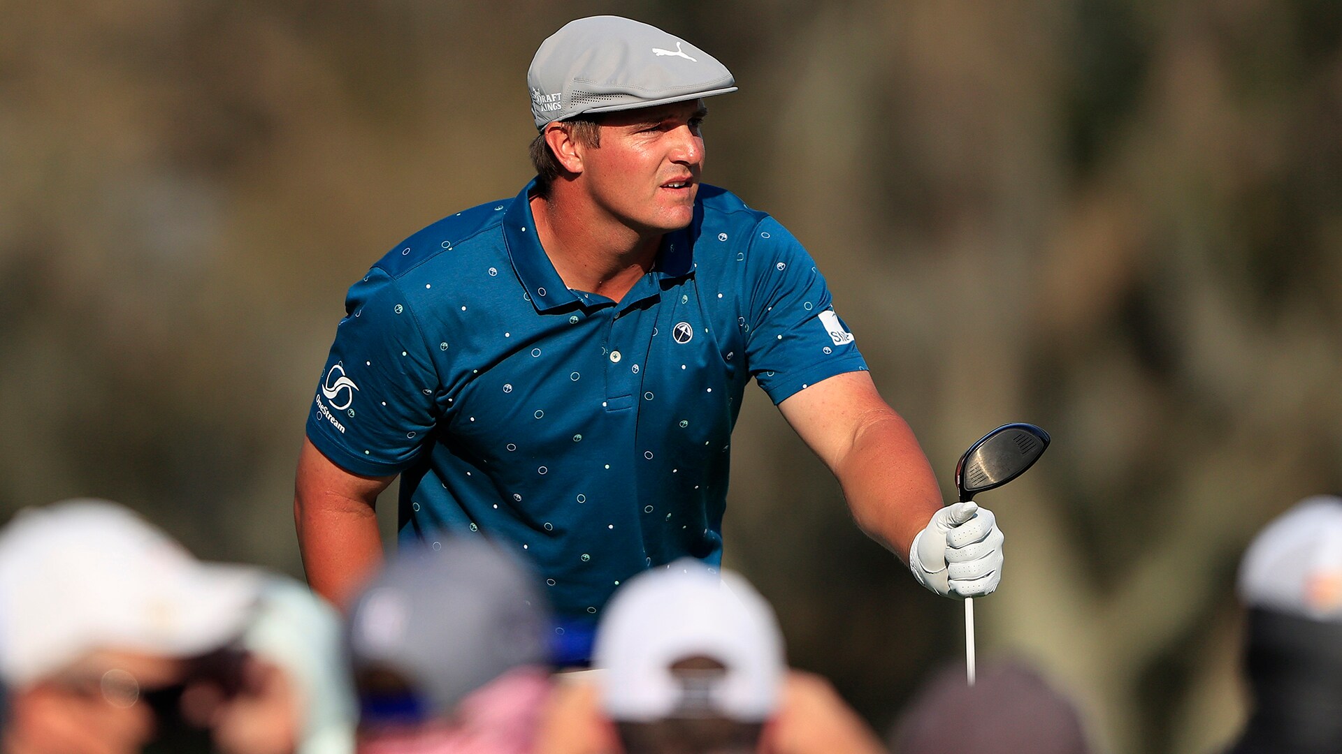 Six packed: They came to watch Bryson DeChambeau drive a par 5, they might see him win instead