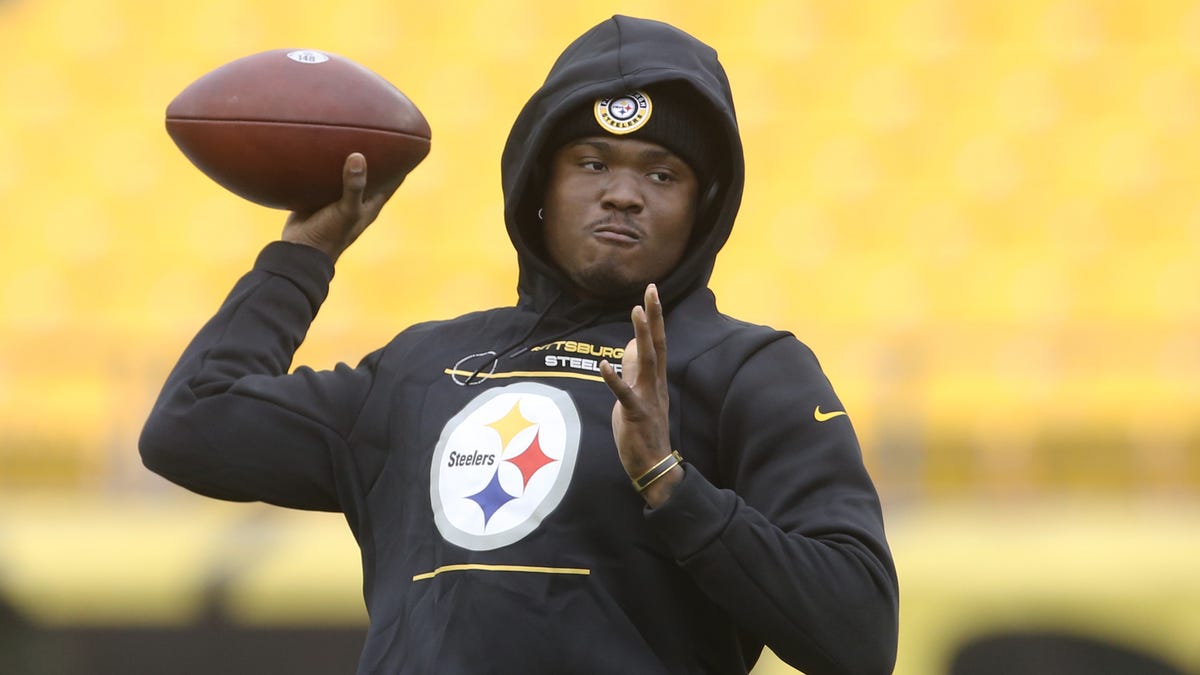 NFL fans honor Dwayne Haskins’ life with hundreds of animal rescue donations