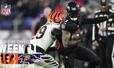 Cincinnati Bengals vs. Baltimore Ravens | 2023 Week 11 Game Highlight
